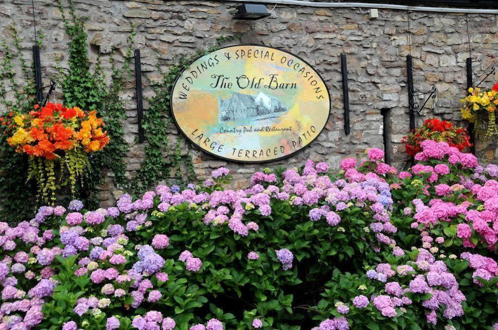 The Old Barn Inn Newport  Exteriér fotografie