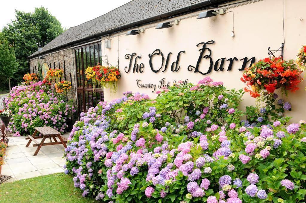 The Old Barn Inn Newport  Exteriér fotografie